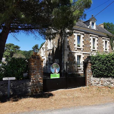 Quatre Chats sous un Pin Le Thoureil Extérieur photo