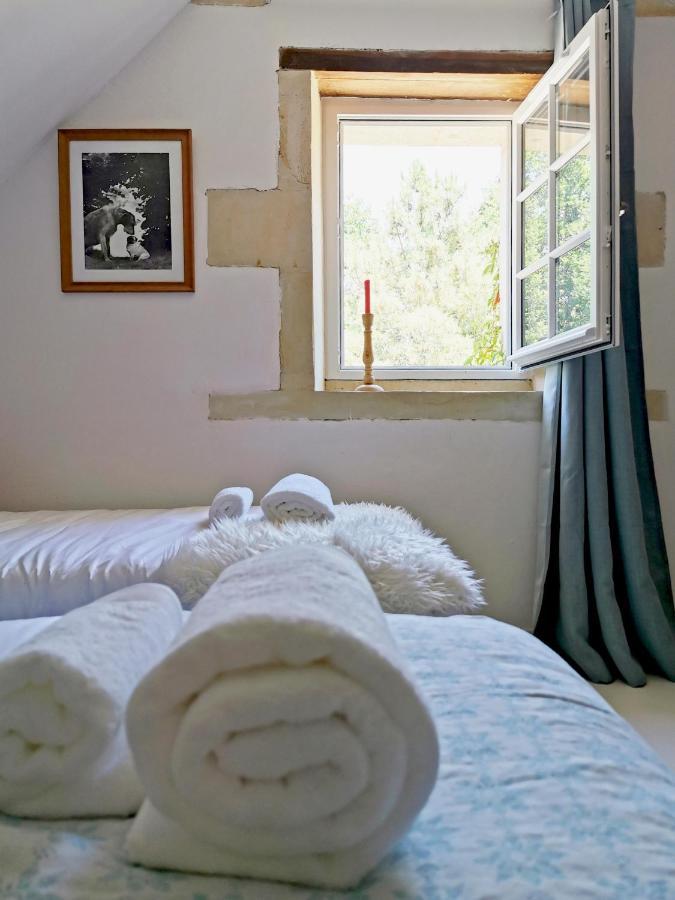 Quatre Chats sous un Pin Le Thoureil Extérieur photo