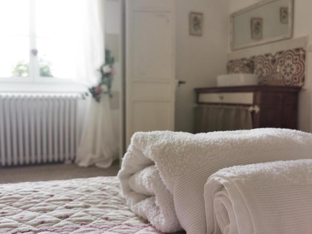 Quatre Chats sous un Pin Le Thoureil Extérieur photo